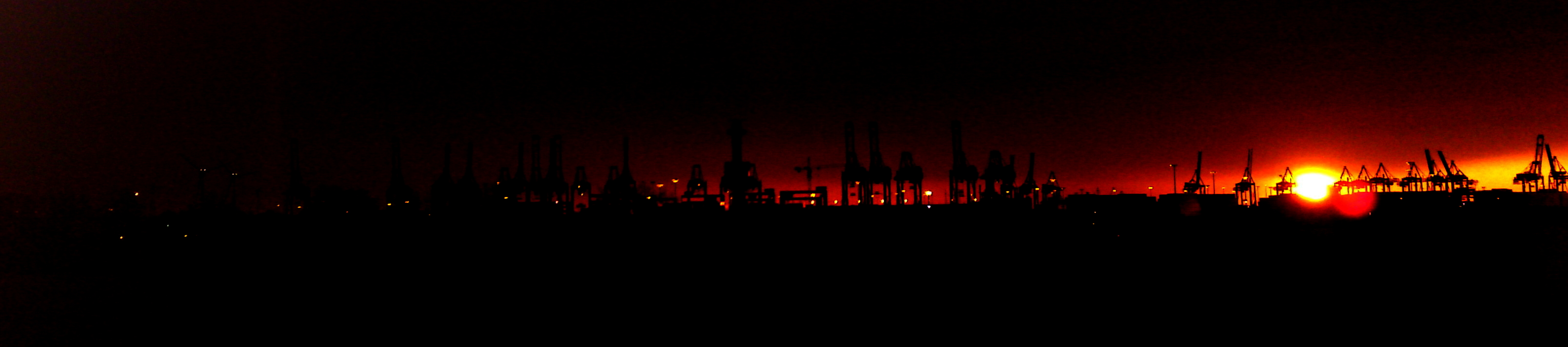 keine Tiere sind hier zu sehen